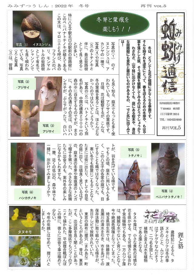 蚯蚓通信再刊vol.5