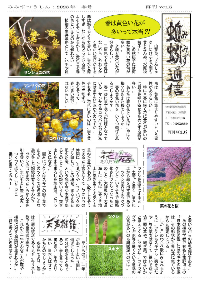 蚯蚓通信再刊vol.6